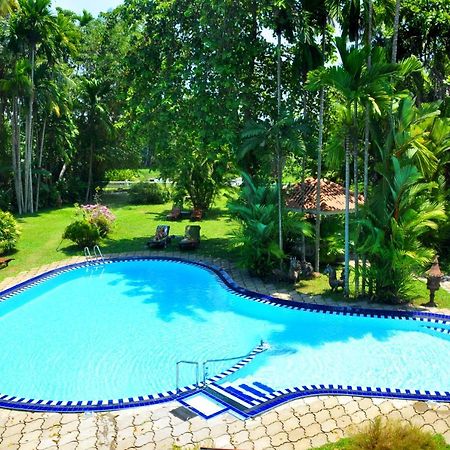 Ayubowan Swiss Lanka Bungalow Resort 本托塔 外观 照片