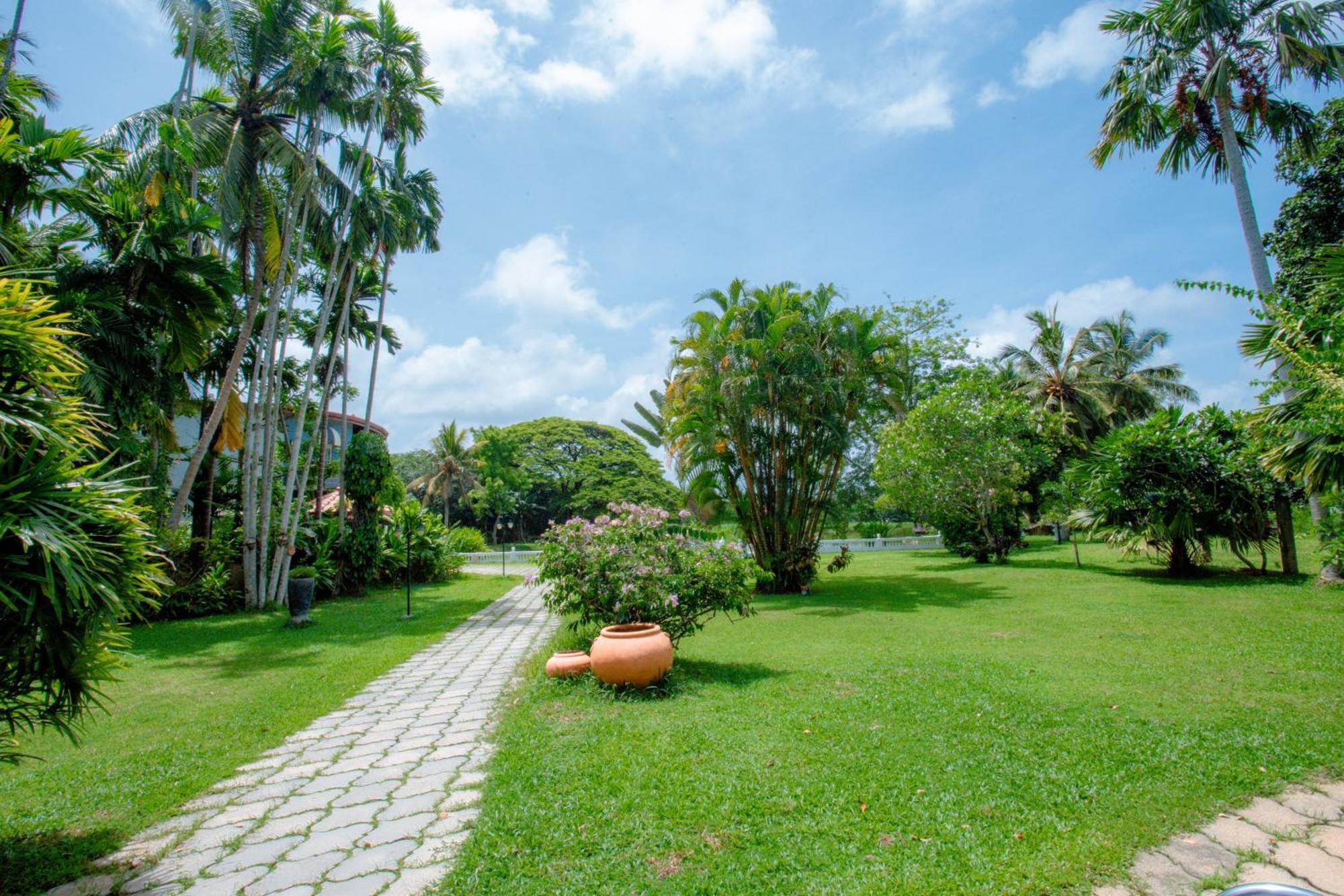 Ayubowan Swiss Lanka Bungalow Resort 本托塔 外观 照片