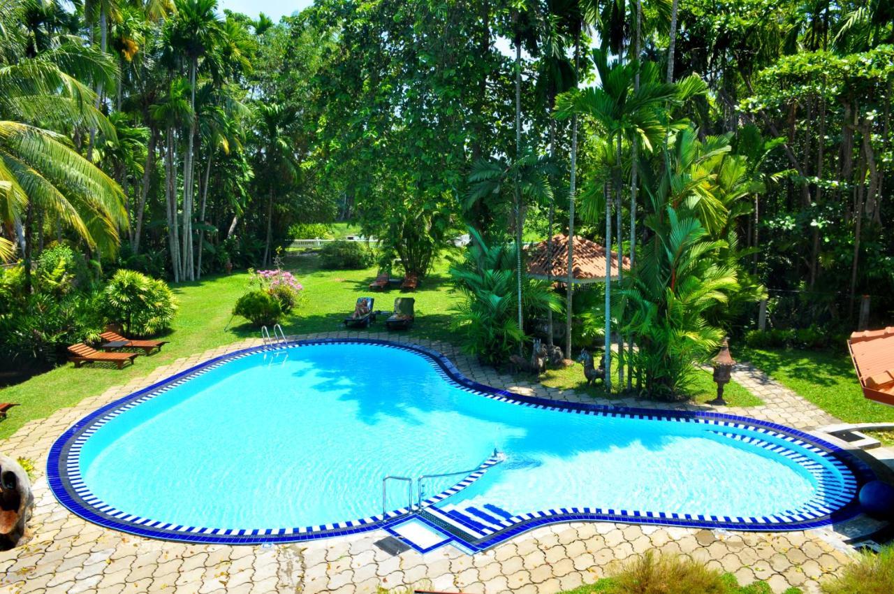 Ayubowan Swiss Lanka Bungalow Resort 本托塔 外观 照片