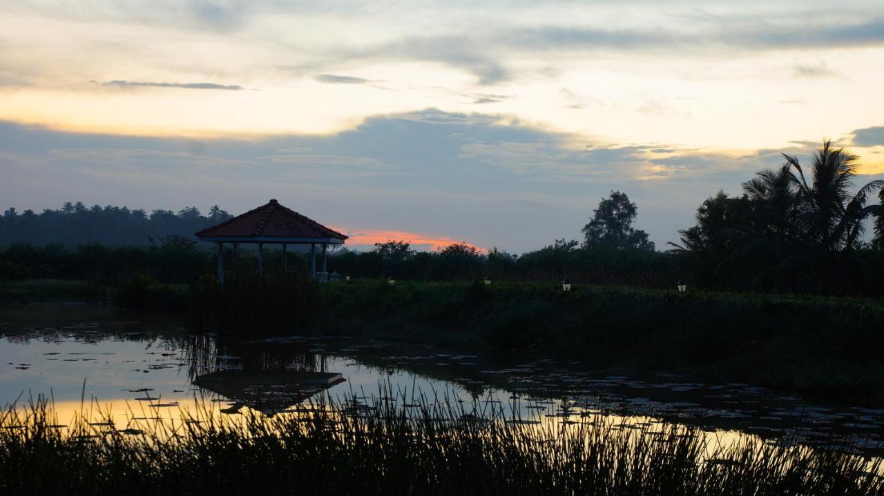 Ayubowan Swiss Lanka Bungalow Resort 本托塔 外观 照片