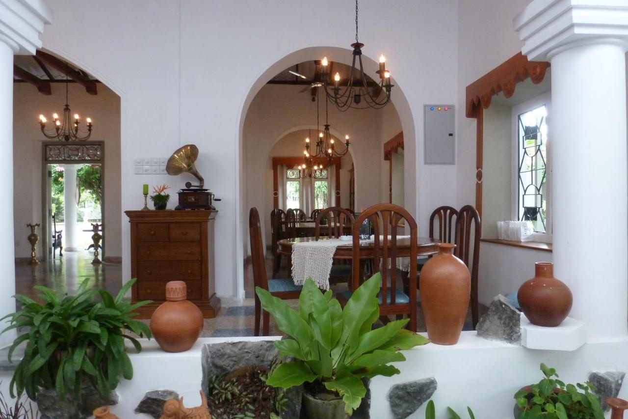 Ayubowan Swiss Lanka Bungalow Resort 本托塔 外观 照片
